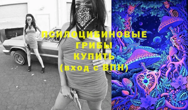 гидра Дмитриев