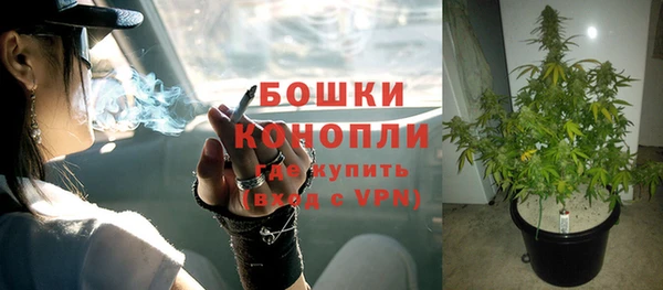 гидра Дмитриев