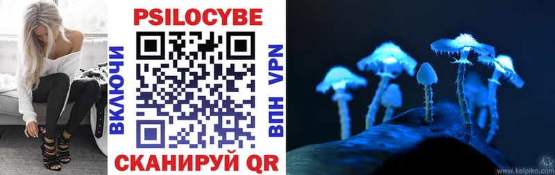 Купить закладки  Урень  Галлюциногенные грибы Psilocybe 